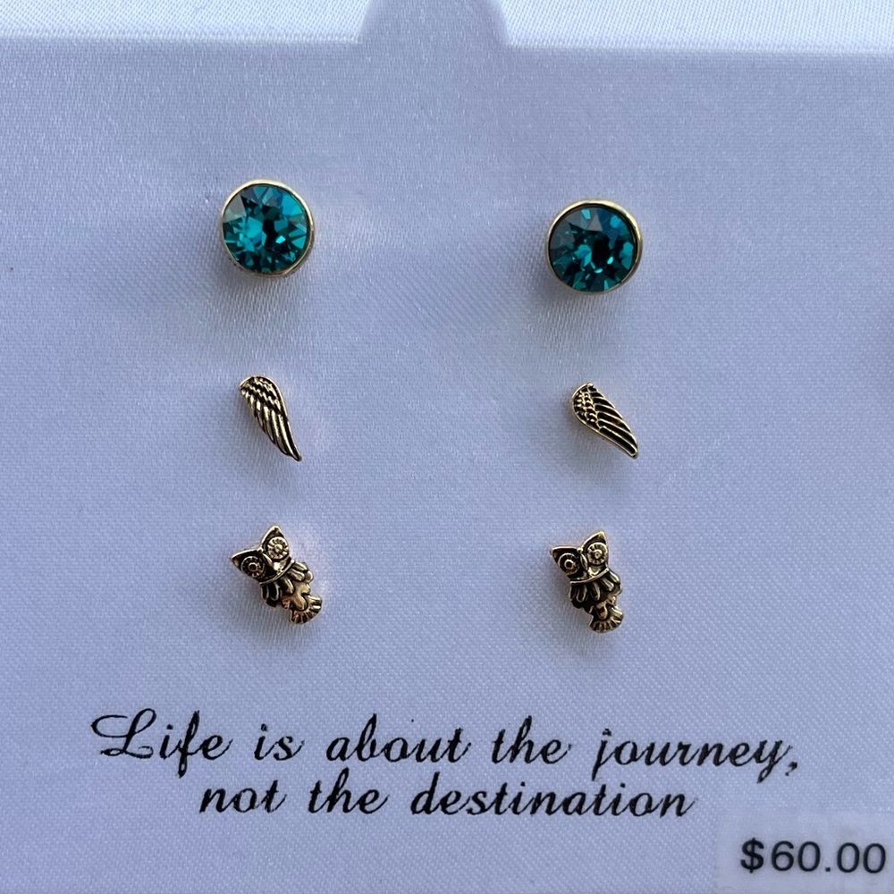🆕 Charming Inspirations Wing & Owl Stud Earring Set Turquoise